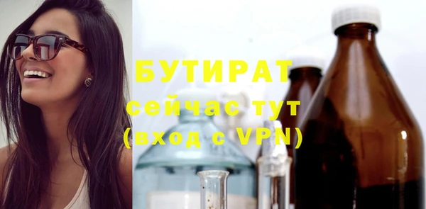 сатива Покачи
