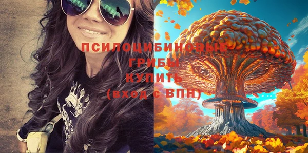 сатива Покачи